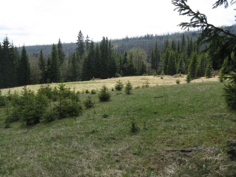 Foto 38